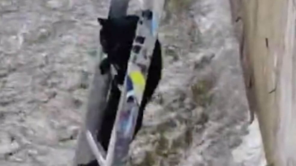 Gato preto dá um 'olé' em quem queria ajudá-lo e se salva em resgate dramático