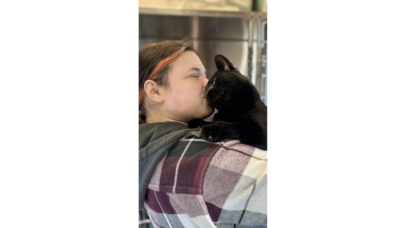 Gato preto recebendo carinho de mulher