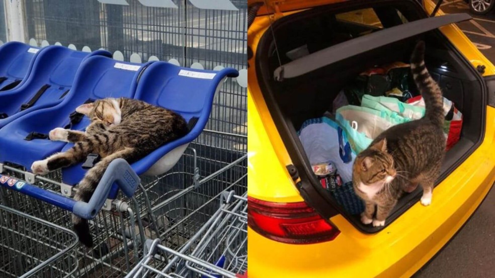 Foto: Reprodução/Facebook