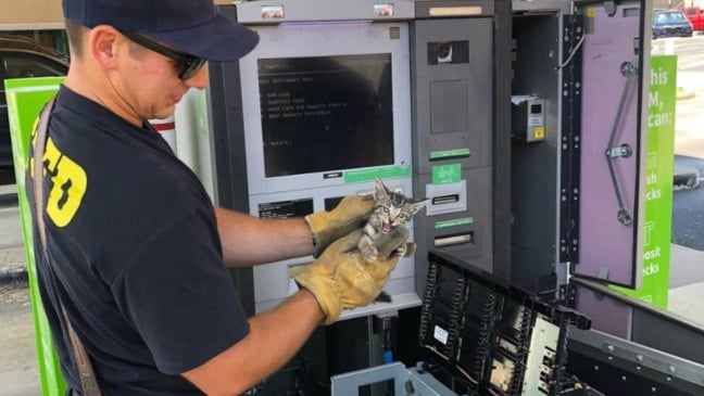Homem resgatando gato preso em caixa eletrônico