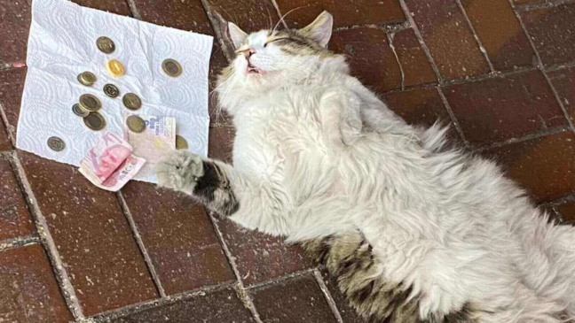 Foto: Golden Eye Jewellery