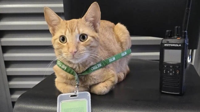 Foto: Reprodução/X/MetrodeMedellin