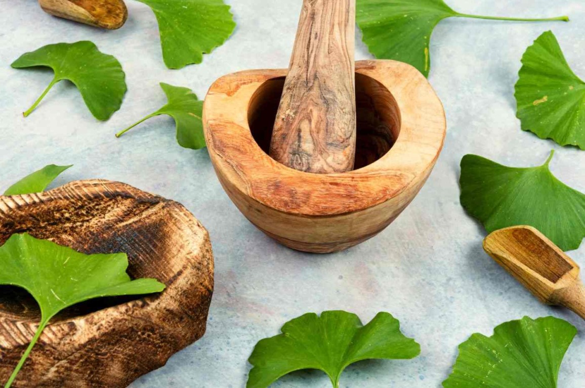 Ginkgo Biloba é conhecido por suas propriedades neuroprotetoras. Foto: Canva Ginkgo Biloba é conhecido por suas propriedades neuroprotetoras. Foto: Canva