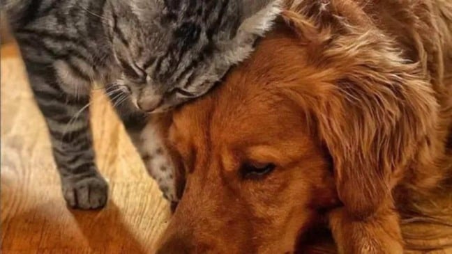 (Foto: Reprodução/Instagram @leonie_barandun_und_q)