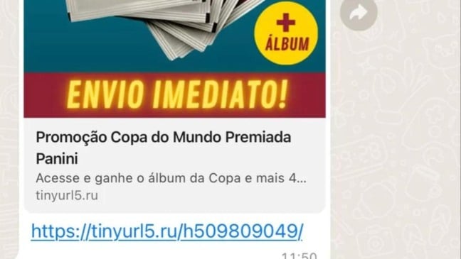 Golpe virtual com álbum da Copa do Mundo de 2022 (Foto: Reprodução/ Whatsapp)