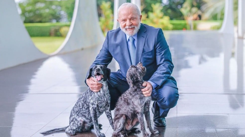 Lula com as cadelas Resistência e Paris
