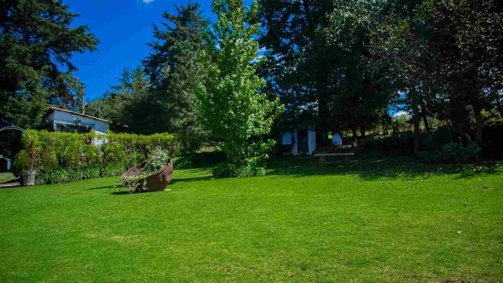 (Foto: Canva/Bruno Adrian)