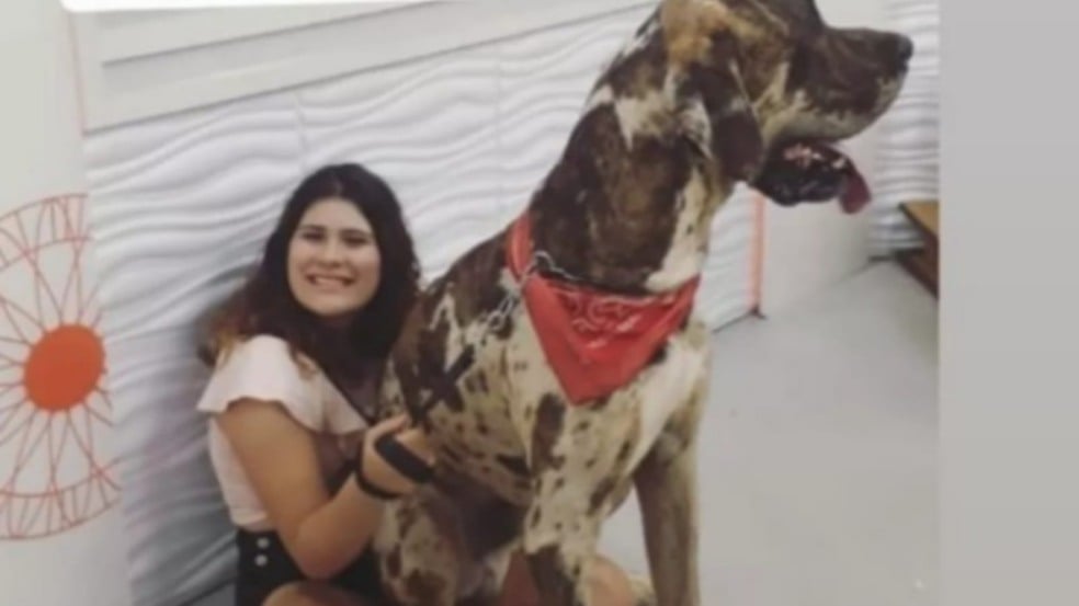 Maior cachorro do mundo