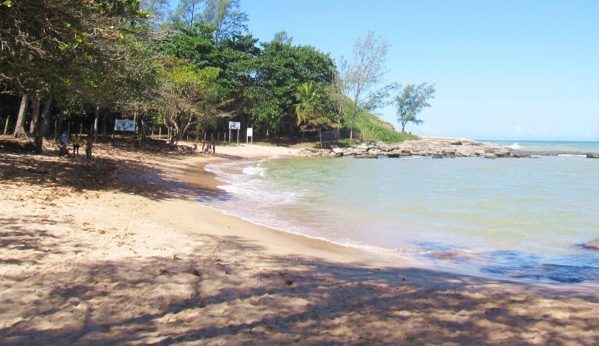 Grávida é estuprada e enterrada viva, mas sobrevive no Rio de Janeiro