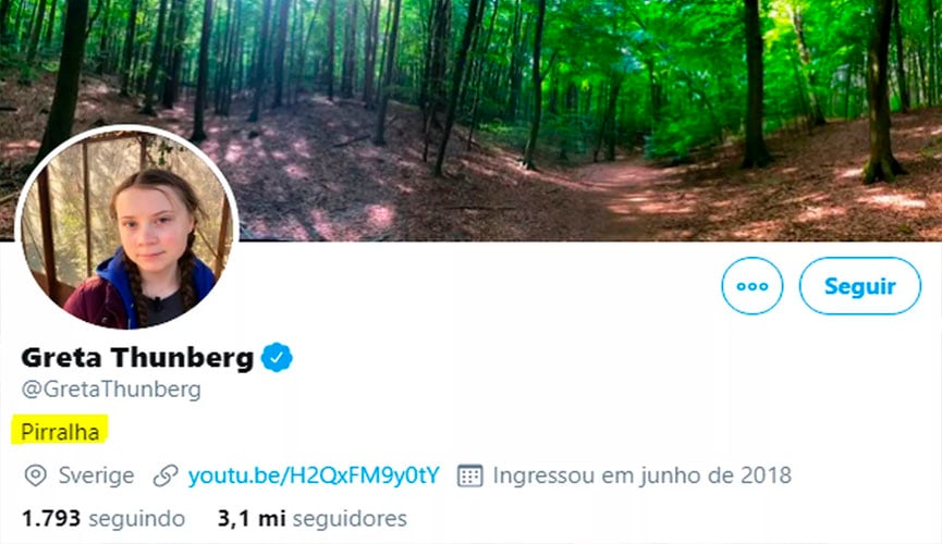 reprodução do twitter da ativista greta thunberg, mostrando a biografia logo abaixo da foto alterada para 'pirralha'