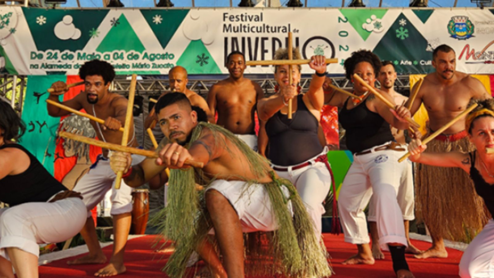 Artistas de Ritmos brasileiros