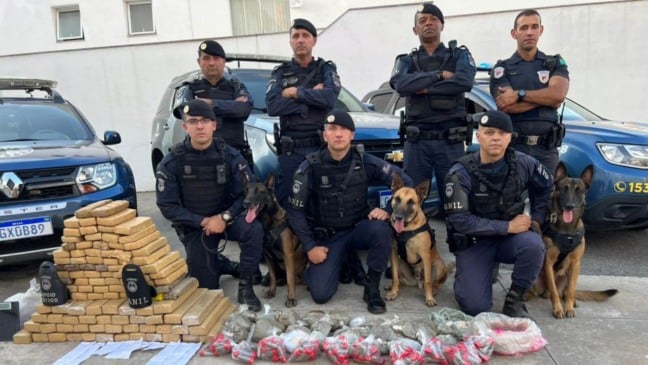 Foto: Guarda Municipal de Jundiaí