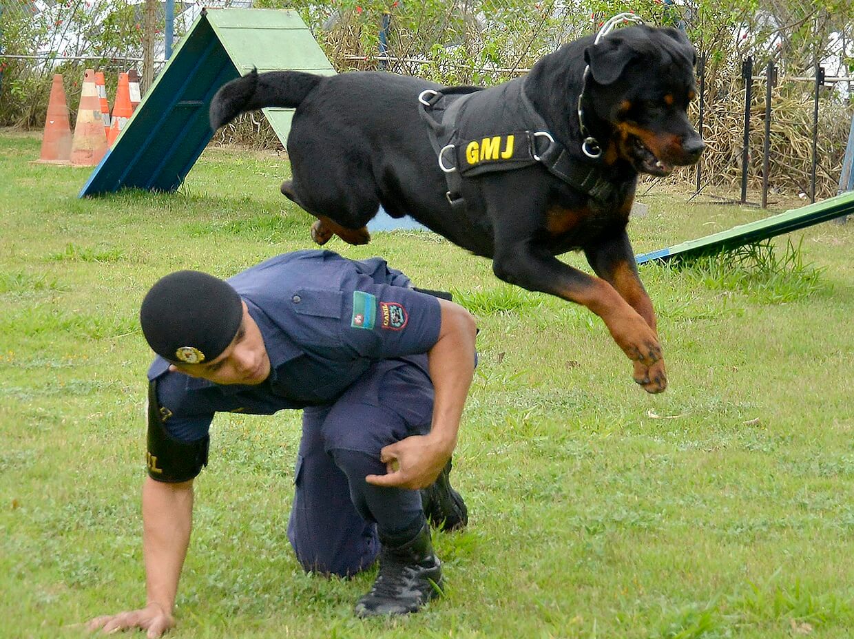 Guarda Municipal de Jundiaí