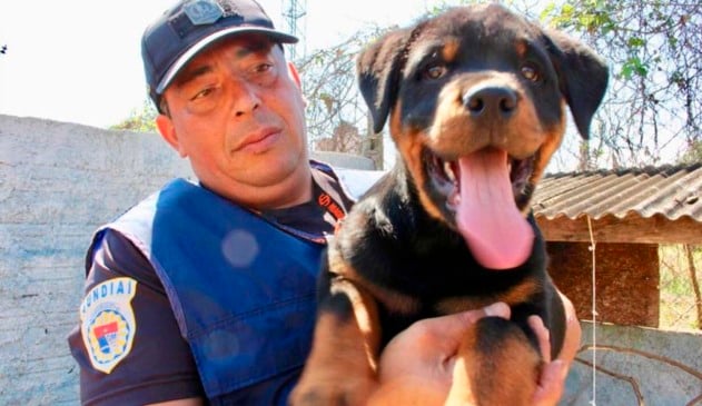 Guarda Municipal treina nova geração de cães para trabalho nas ruas de Jundiaí