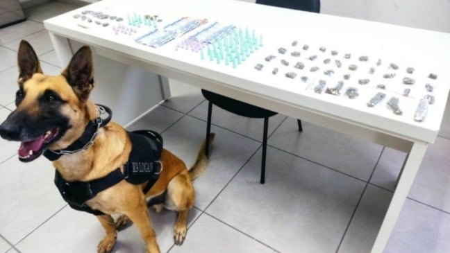 Foto: Guarda Municipal de Jundiaí