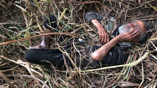 Idoso resgatado de área de mata em Jundiaí