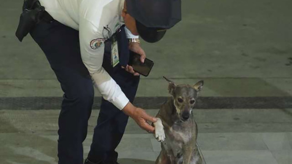 (Foto: Reprodução/catiororeflexivo)