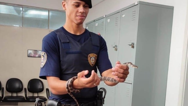 Guarda com cobra na mão