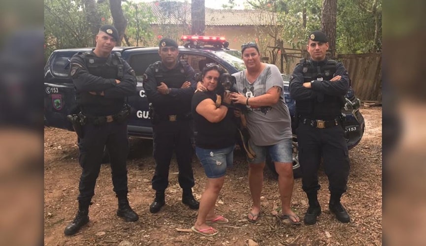 Final feliz: Guardas resgatam cachorrinho no rio Jundiaí