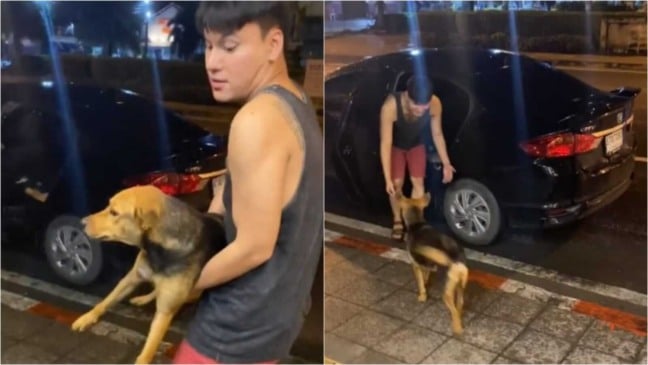 Homem colocando cachorro no carro