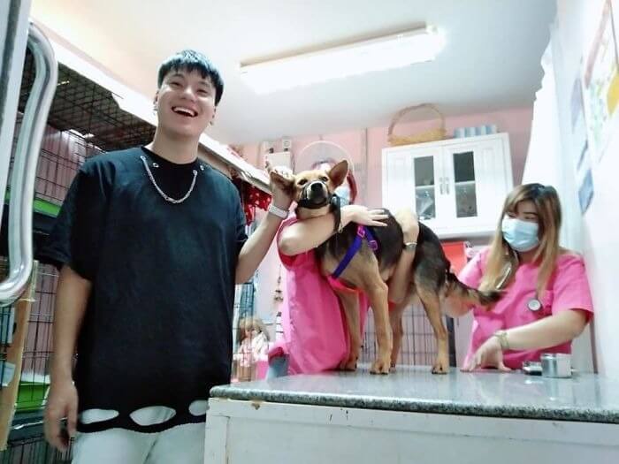 Cachorro tomando banho