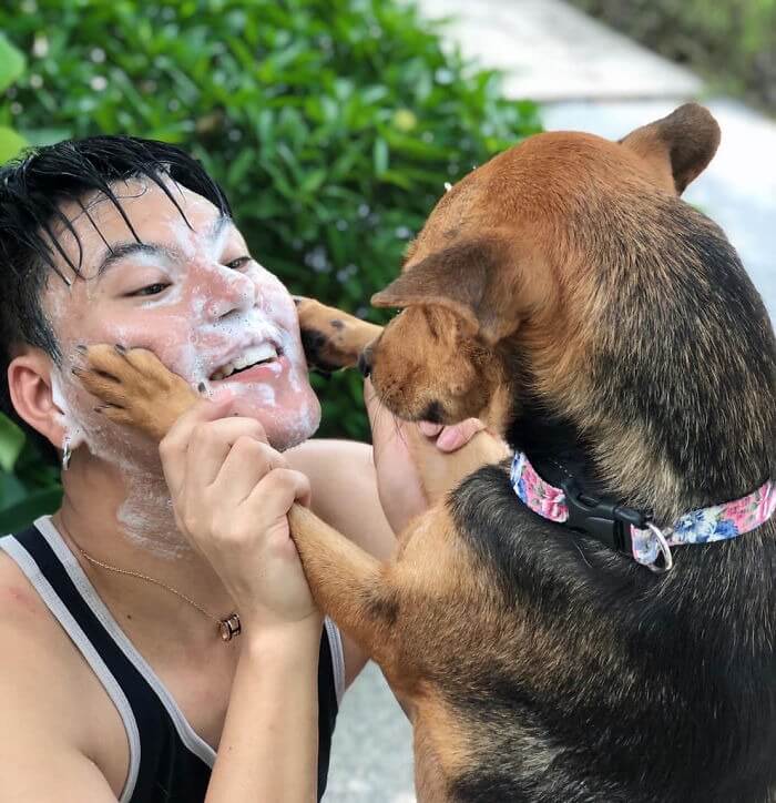 Homem brincando com cachorro