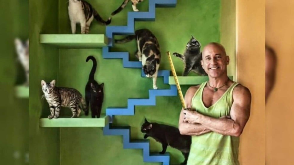 Homem posando ao lado de gatos em plataformas
