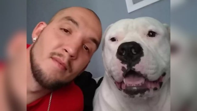 Homem ao lado de cachorro Homem ao lado de cachorro