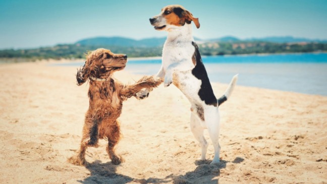 Foto: wirestock/Freepik