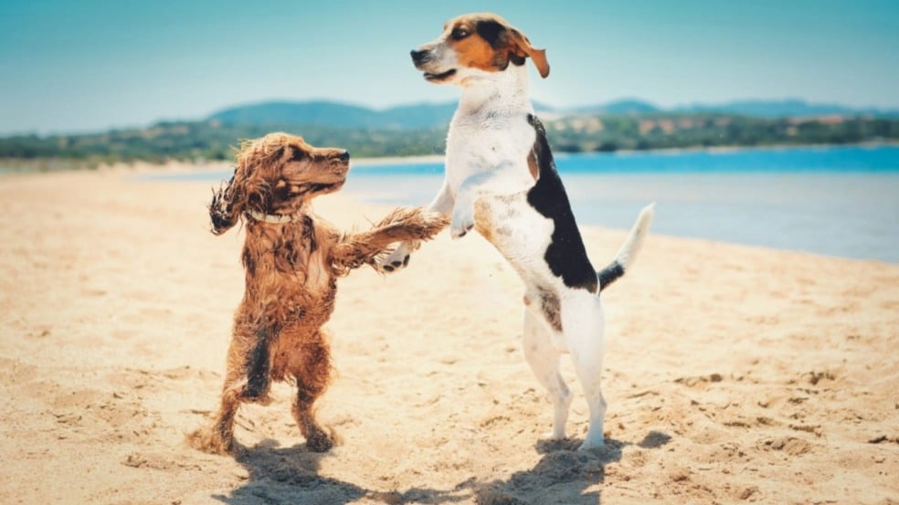 Foto: wirestock/Freepik