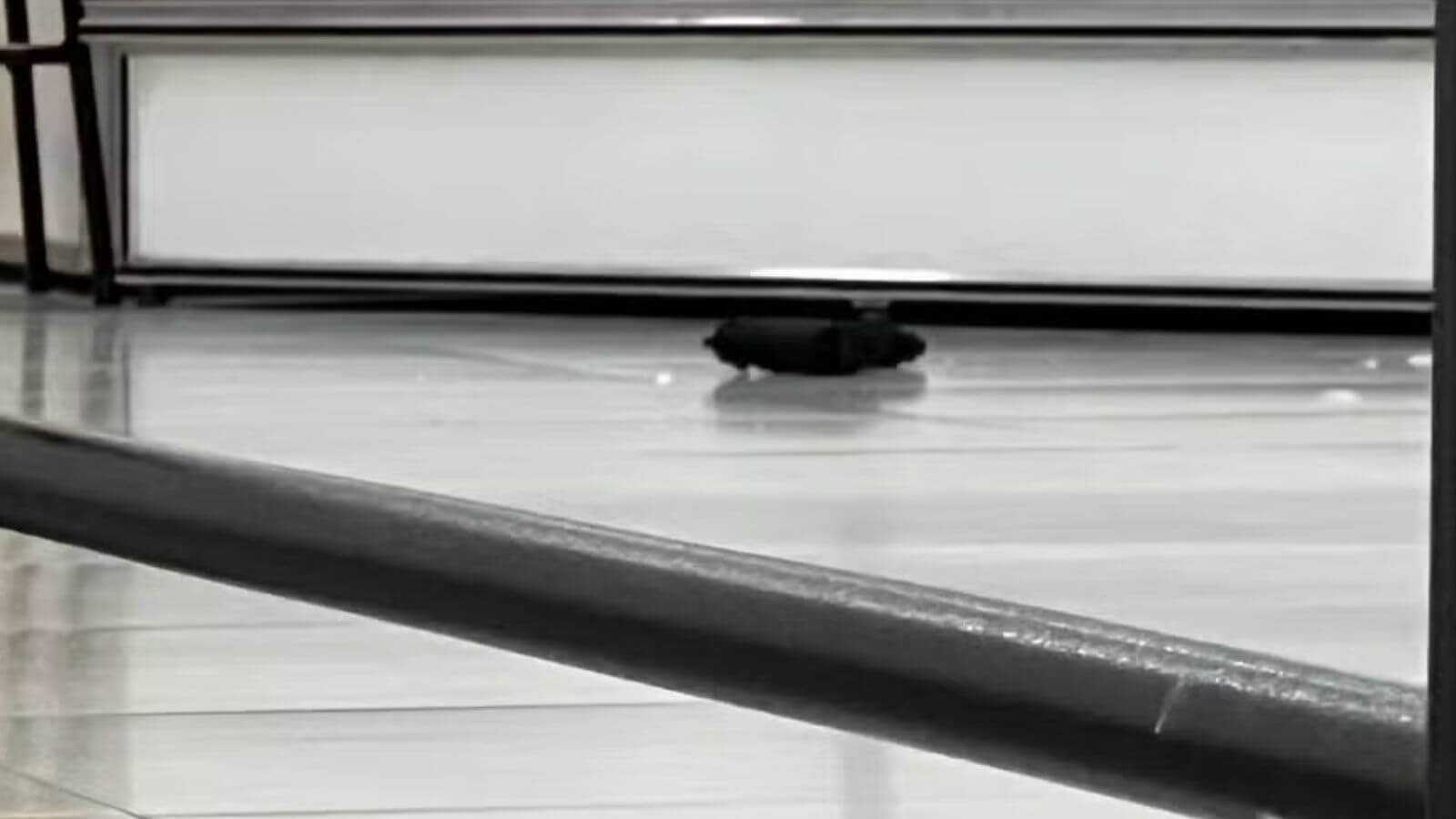 Homem é morto a tiros após tentativa de assalto a joalheria em Itatiba