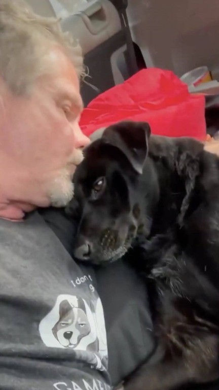 Homem para seu carro quando percebe que cachorro 'morto' na estrada ainda está vivo