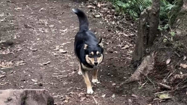 Foto: Alex Khachigian