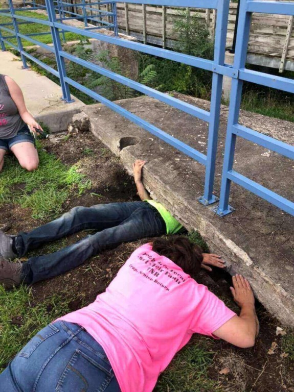 Homem resgatando gatinhos