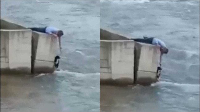 Homem resgatando cachorro