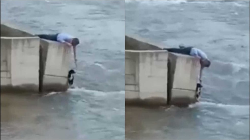 Homem resgatando cachorro Homem resgatando cachorro