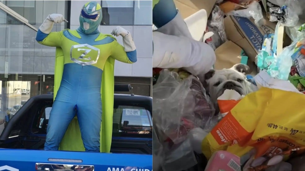 Foto: Reprodução/Instagram/ @zadrigman/The Dodo | Reprodução/ The Dodo