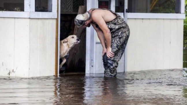 Homem se aproximando de cachorro em enchente