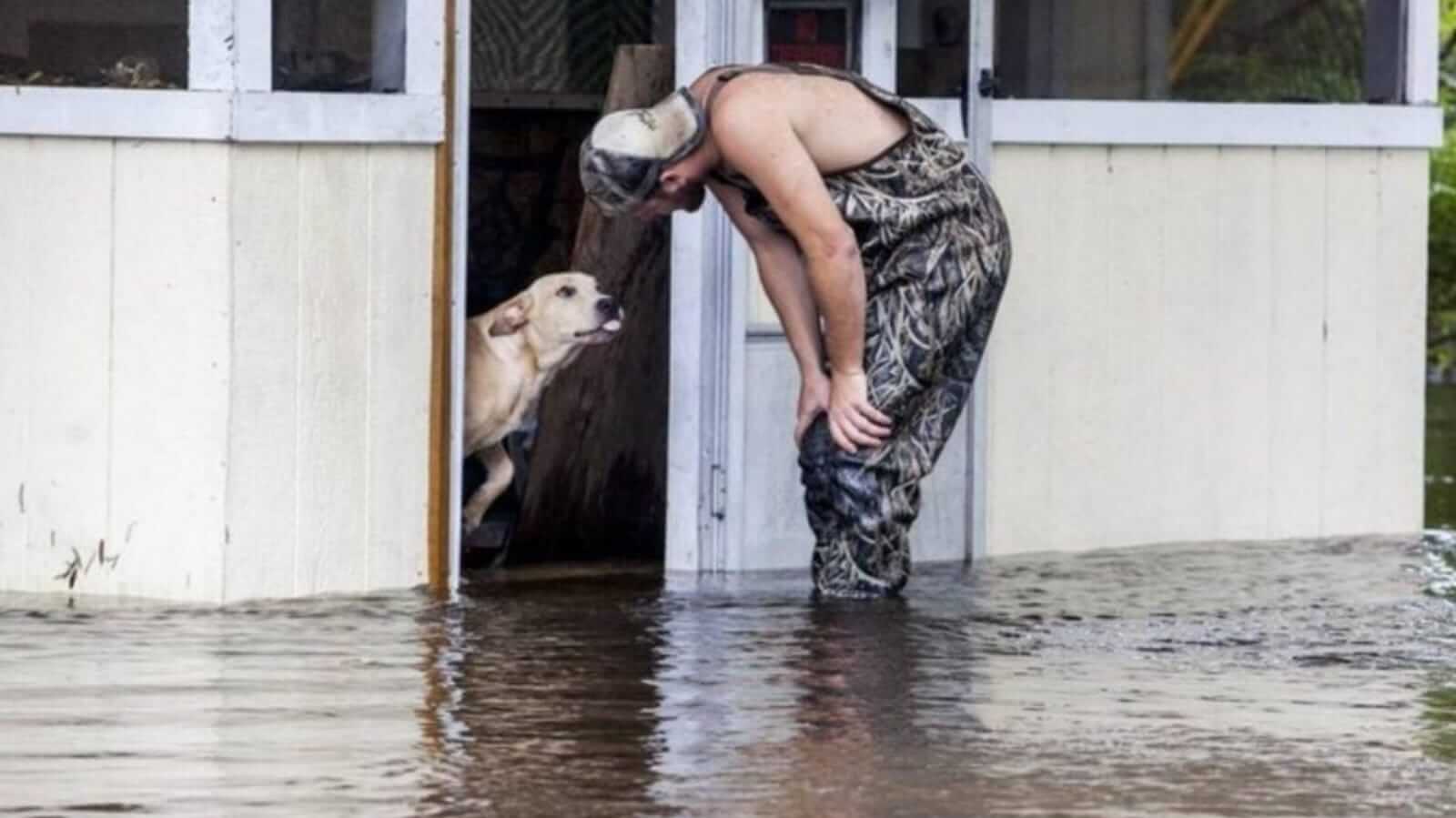 Homem se aproximando de cachorro em enchente