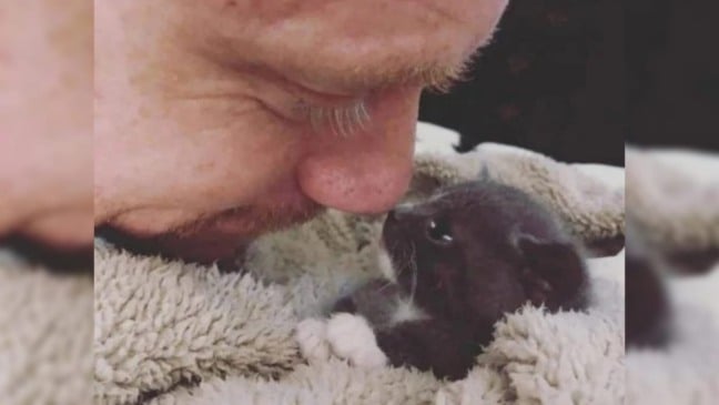 Homem com filhote de gato