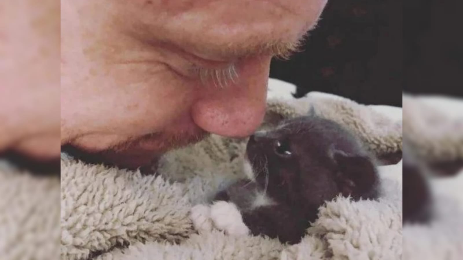 Homem com filhote de gato