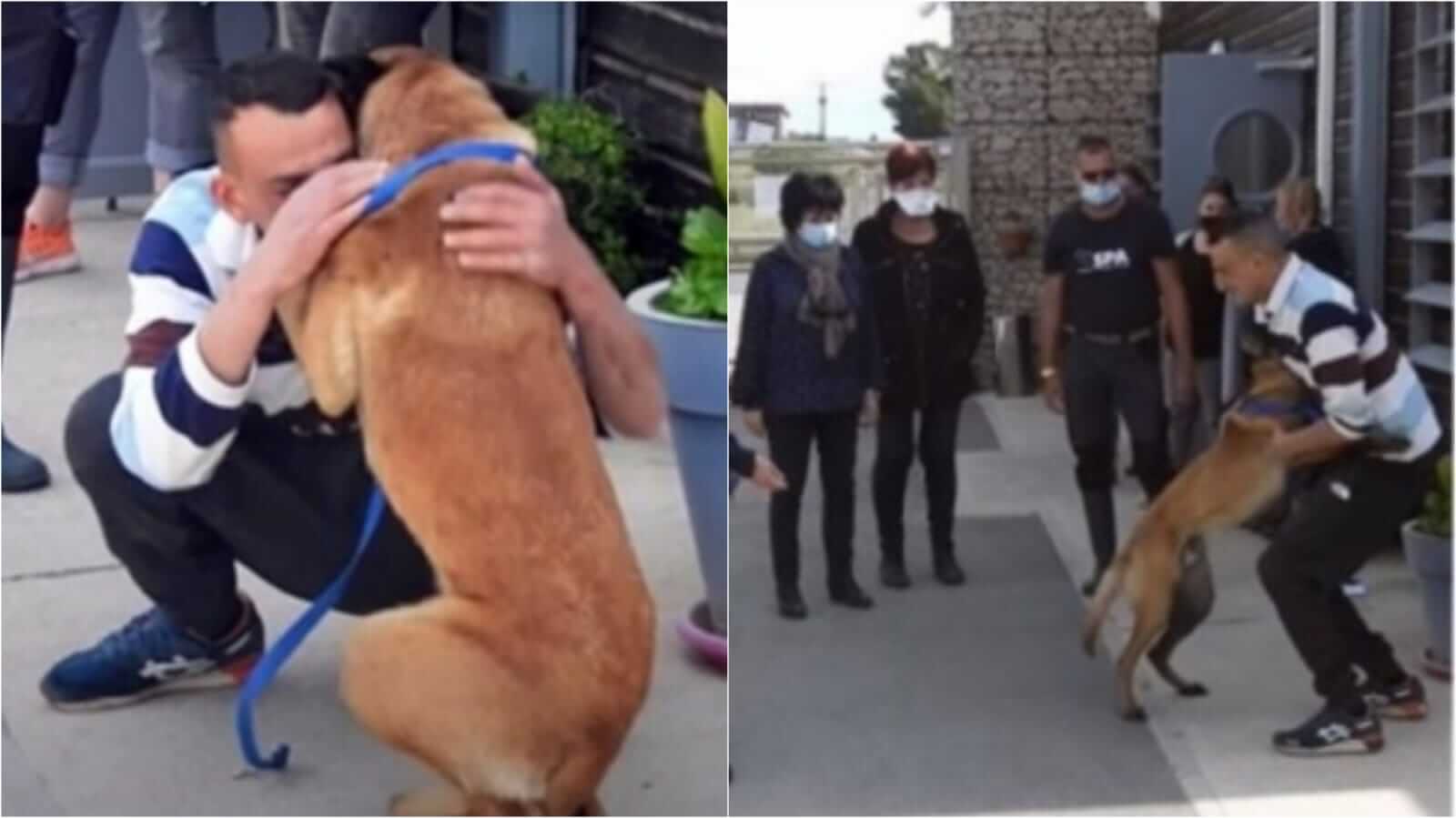 Homem abraçando cachorro