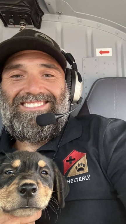 Homem voa para área de incêndio para salvar uma família de cachorros