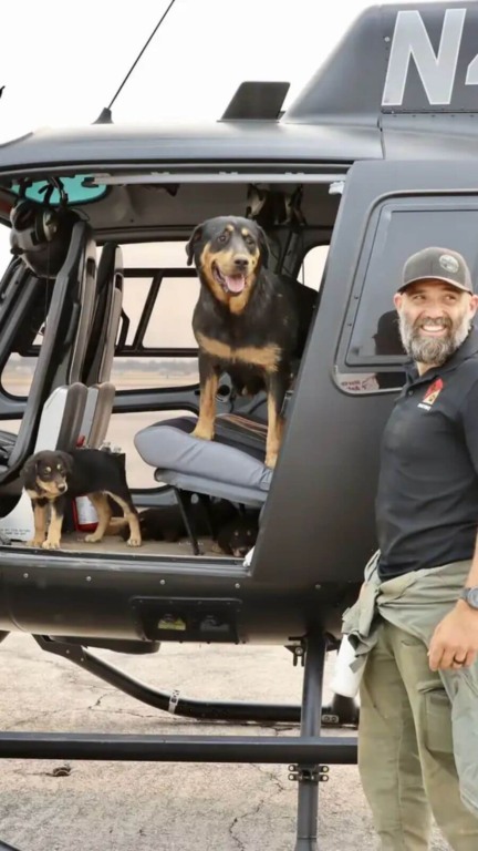 Homem voa para área de incêndio para salvar uma família de cachorros