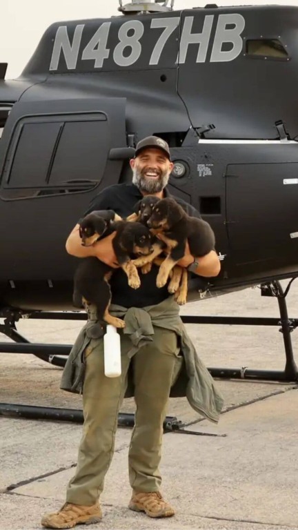 Homem voa para área de incêndio para salvar uma família de cachorros