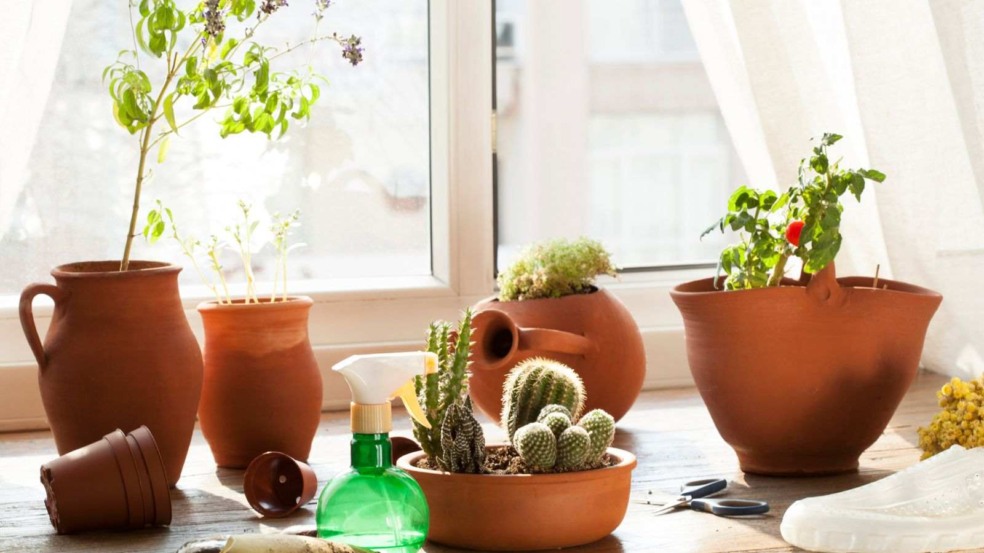 (Foto: izzetugutmen/Canva)