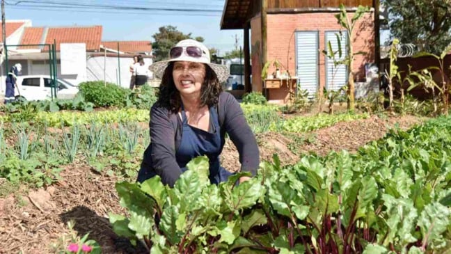 A horta de Célia está produzindo desde junho (Foto: Prefeitura de Jundiaí)