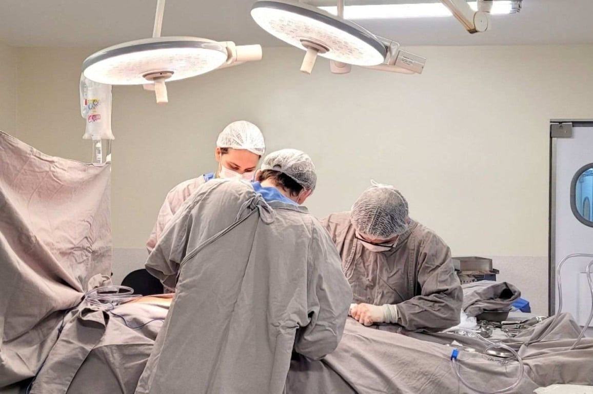 Hospital São Vicente realiza captação de fígado, rins e córneas