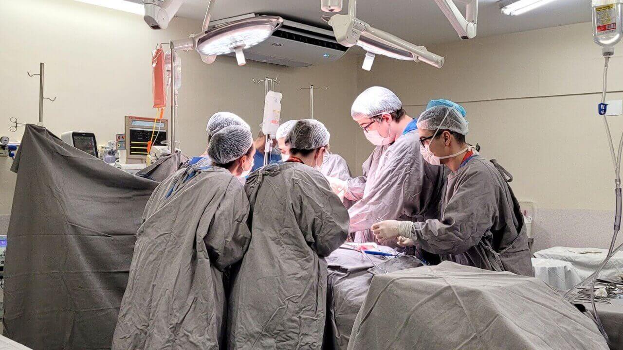 Captação de órgãos no Hospital São Vicente