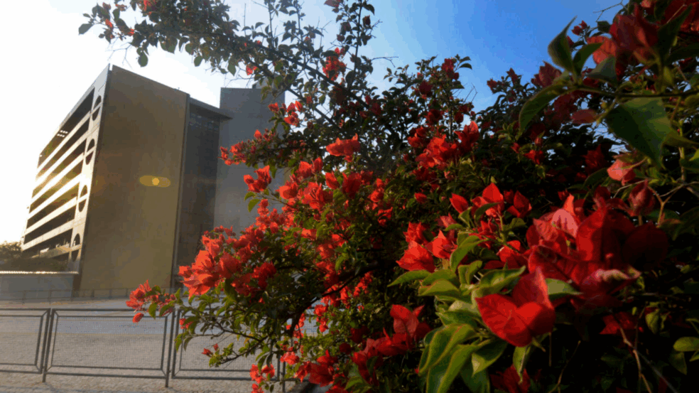 Confira o Abre e Fecha do feriado de Nove de Julho em Jundiaí